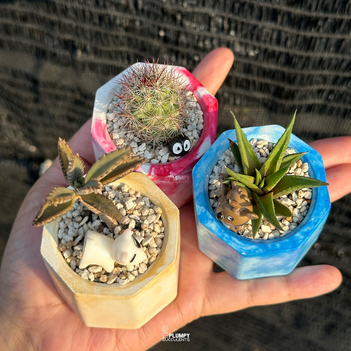 MARBLY TRIO DISCOVERY SET — Set of 3 Mini Succulent & Cactus Planters