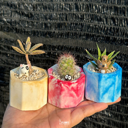 MARBLY TRIO DISCOVERY SET — Set of 3 Mini Succulent & Cactus Planters