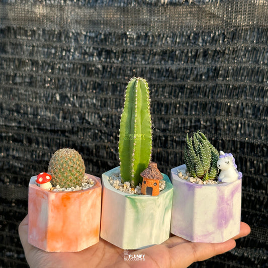 MARBLY HAPPINESS TRIO — Set of 3 Mini Succulent & Cactus Planters