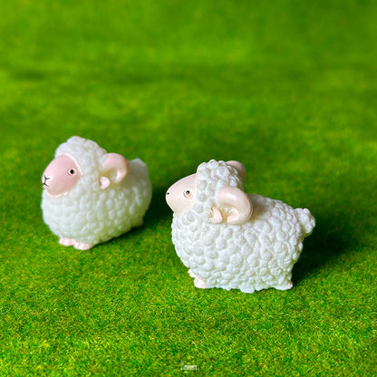 Sheep