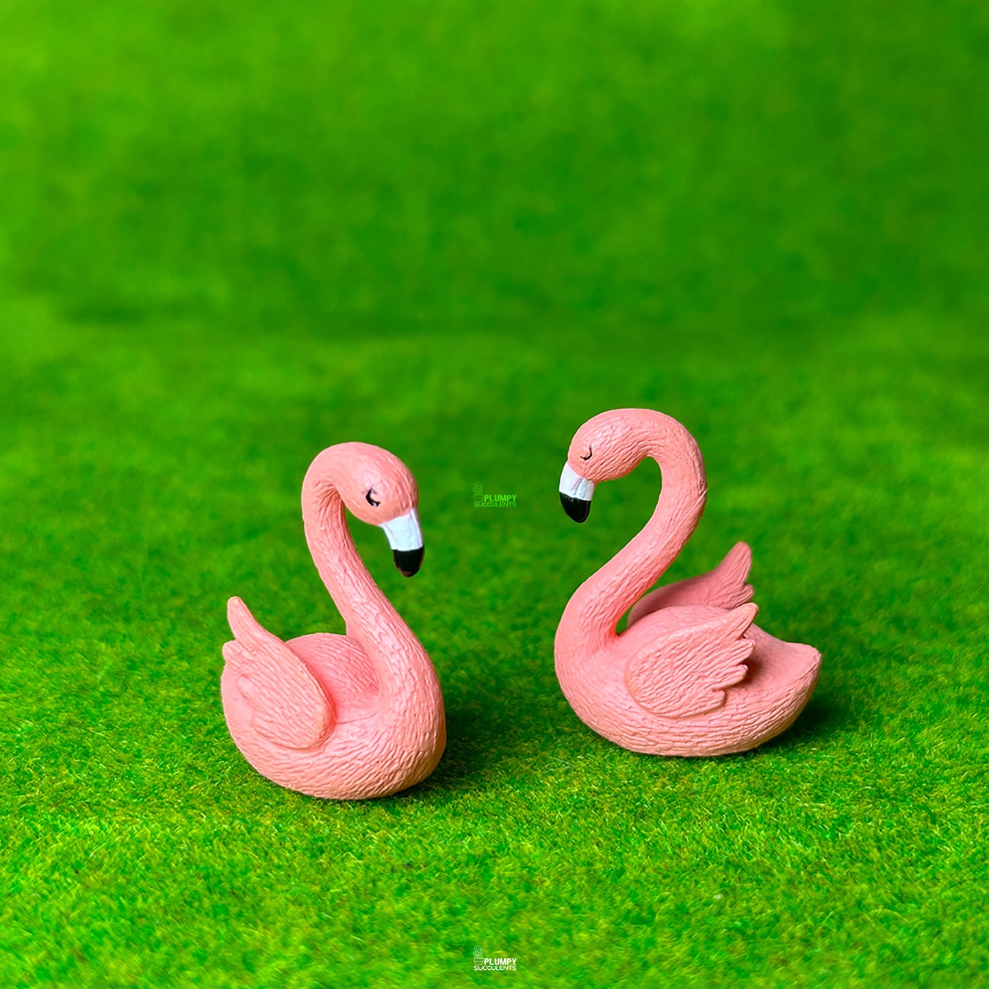 Love Flamingo