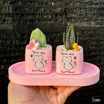 PINK – “You Are Purrfect” Planter